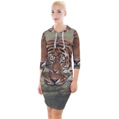 Swimming Tiger Quarter Sleeve Hood Bodycon Dress by ExtraGoodSauce