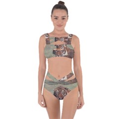 Swimming Tiger Bandaged Up Bikini Set  by ExtraGoodSauce