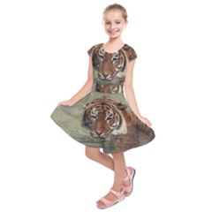 Swimming Tiger Kids  Short Sleeve Dress by ExtraGoodSauce