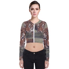 Swimming Tiger Long Sleeve Zip Up Bomber Jacket by ExtraGoodSauce