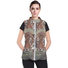 Swimming Tiger Women s Puffer Vest by ExtraGoodSauce