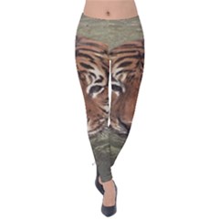 Swimming Tiger Velvet Leggings by ExtraGoodSauce