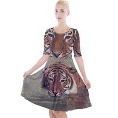 Swimming Tiger Quarter Sleeve A-line Dress by ExtraGoodSauce