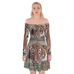 Swimming Tiger Off Shoulder Skater Dress by ExtraGoodSauce