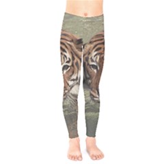 Swimming Tiger Kids  Leggings by ExtraGoodSauce