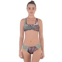 Swimming Tiger Criss Cross Bikini Set by ExtraGoodSauce