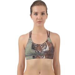 Swimming Tiger Back Web Sports Bra by ExtraGoodSauce