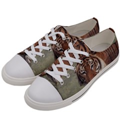 Swimming Tiger Women s Low Top Canvas Sneakers by ExtraGoodSauce