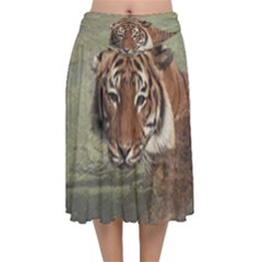 Swimming Tiger Velvet Flared Midi Skirt by ExtraGoodSauce