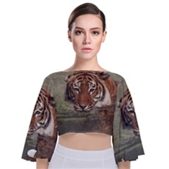 Swimming Tiger Tie Back Butterfly Sleeve Chiffon Top by ExtraGoodSauce