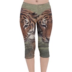 Swimming Tiger Velvet Capri Leggings  by ExtraGoodSauce