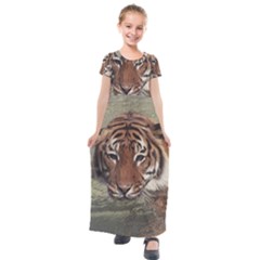 Swimming Tiger Kids  Short Sleeve Maxi Dress by ExtraGoodSauce