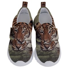 Swimming Tiger Kids  Velcro No Lace Shoes by ExtraGoodSauce