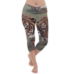 Swimming Tiger Lightweight Velour Capri Yoga Leggings by ExtraGoodSauce