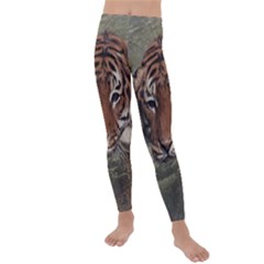 Swimming Tiger Kids  Lightweight Velour Leggings by ExtraGoodSauce