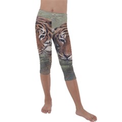 Swimming Tiger Kids  Lightweight Velour Capri Leggings  by ExtraGoodSauce