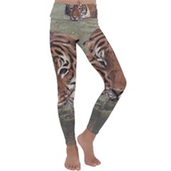 Swimming Tiger Kids  Lightweight Velour Classic Yoga Leggings by ExtraGoodSauce