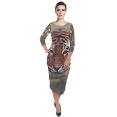 Swimming Tiger Quarter Sleeve Midi Velour Bodycon Dress by ExtraGoodSauce