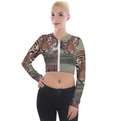 Swimming Tiger Long Sleeve Cropped Velvet Jacket by ExtraGoodSauce