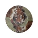 Swimming Tiger Inside Out Bucket Hat (Kids) View3