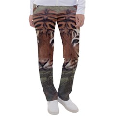 Swimming Tiger Women s Casual Pants by ExtraGoodSauce