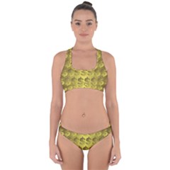 Account Dollar Cross Back Hipster Bikini Set by Dutashop