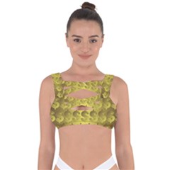 Account Dollar Bandaged Up Bikini Top