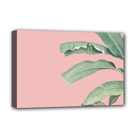 Banana Leaf On Pink Deluxe Canvas 18  X 12  (stretched) by goljakoff