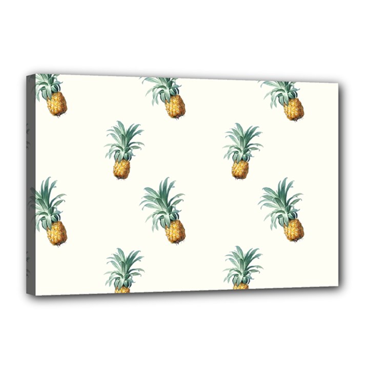 Pineapples Canvas 18  x 12  (Stretched)