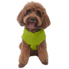 Acid Green Dog Sweater