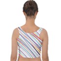 Beautiful Stripes Velvet Crop Top View2