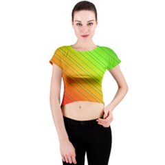 Orange Green Gradient Hunter Crew Neck Crop Top