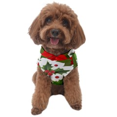 Christmas Berry Dog Sweater by goljakoff