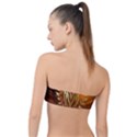 Pheonix Rising Classic Bandeau Bikini Top  View2