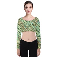 Green Leaves Velvet Long Sleeve Crop Top by goljakoff