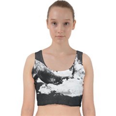 Whale Dream Velvet Racer Back Crop Top by goljakoff