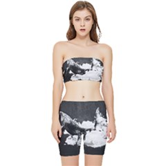 Whale Dream Stretch Shorts And Tube Top Set