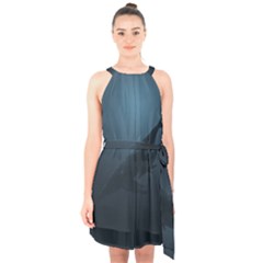 Whales Family Halter Collar Waist Tie Chiffon Dress by goljakoff