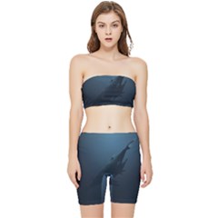 Whales Family Stretch Shorts And Tube Top Set by goljakoff