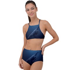 Blue Whales High Waist Tankini Set by goljakoff