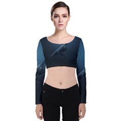 Blue Whales Velvet Long Sleeve Crop Top by goljakoff