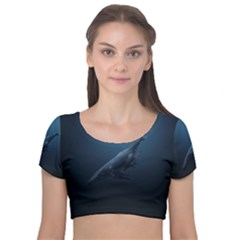 Blue Whales Velvet Short Sleeve Crop Top  by goljakoff