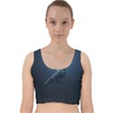 Blue whales Velvet Racer Back Crop Top View1