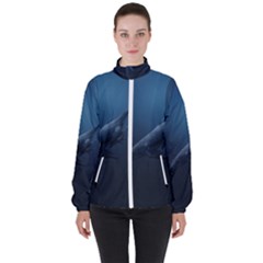 Blue Whales Women s High Neck Windbreaker by goljakoff