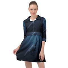 Blue Whales Mini Skater Shirt Dress by goljakoff