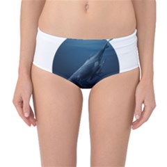 Blue Whales Mid-waist Bikini Bottoms by goljakoff