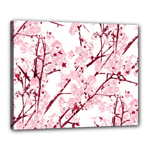 Fleurs De Cerisier Canvas 20  X 16  (stretched) by kcreatif