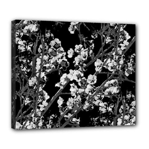 Fleurs De Cerisier Noir & Blanc Deluxe Canvas 24  X 20  (stretched) by kcreatif