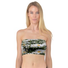 Champs De Marguerites Bandeau Top by kcreatif