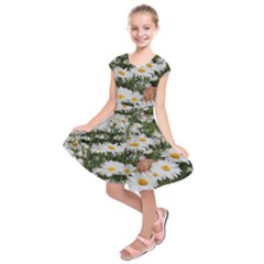 Champs De Marguerites Kids  Short Sleeve Dress by kcreatif